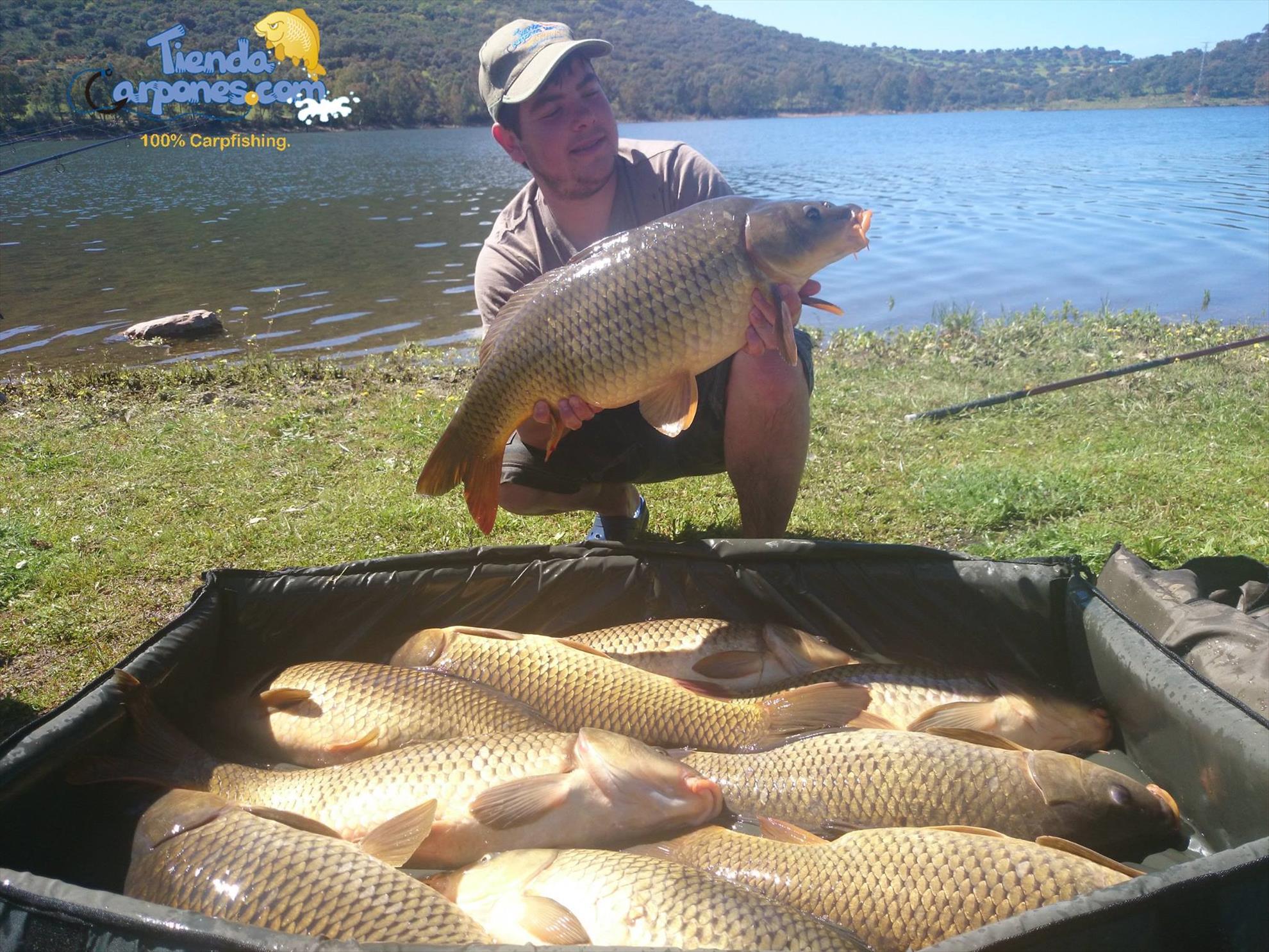 SENZOR PLANET IN SPANIA 2014 - Noile solubile Planet1016 fac ravagii in Spania